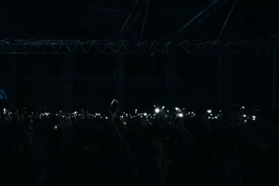 Casino King Crab App Mobile